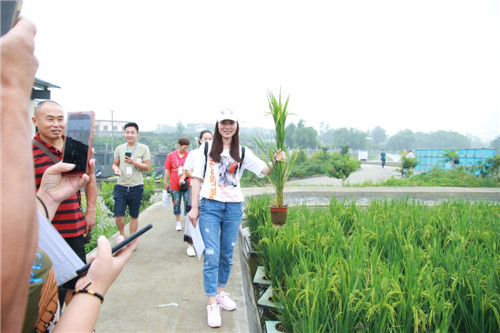 IMG_0145_看图王.jpg