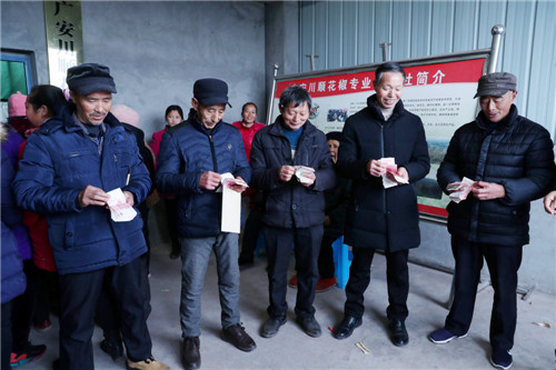 恒升镇椒农连续12年分红利