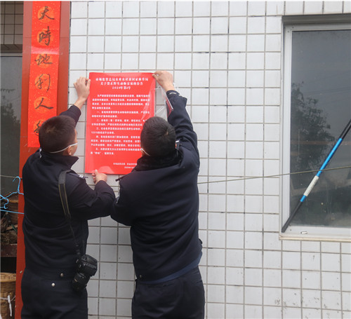 果断出击！丹棱县无害化处理39只驯养繁殖的果子狸