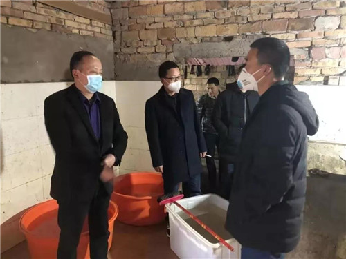 洪雅县农业农村局扎实做好“菜篮子”产品稳产保供工作