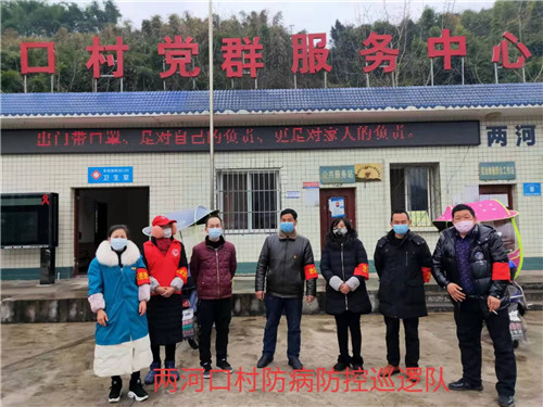 1月27日两河口村防病防控巡逻队_看图王.jpg