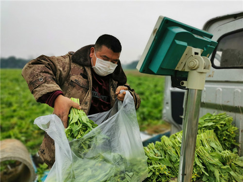 给力！新鲜蔬菜传温暖 助力一线战疫情