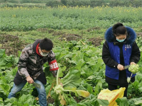 丹棱县：“红色代办”来帮忙，防疫也不误农时