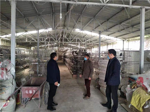 兴隆镇:疫情防控与农技服务两不误