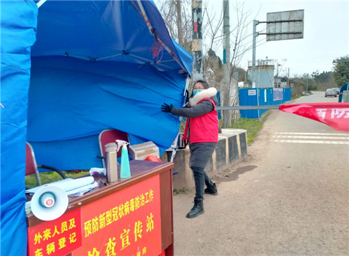 龙凤镇女干部：战疫一线的巾帼风采
