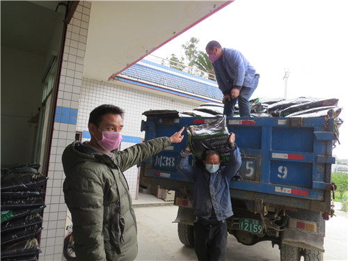 IMG_5945.jpg IMG_5945.jpg