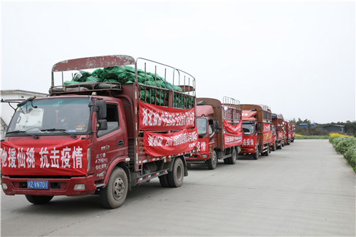 “橙“意满满的货车.jpg