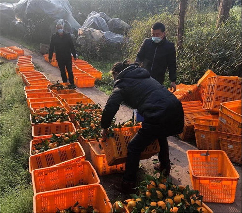 微信图片_20200220143143 - 副本.jpg