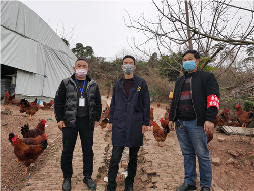 陶建国：卖出滞销鸡  心头春风来