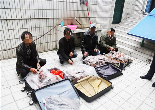 前锋区森林公安分局移送起诉一起非法狩猎案