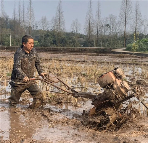 蔡金镇：防疫生产“双发力”春耕备耕保增收