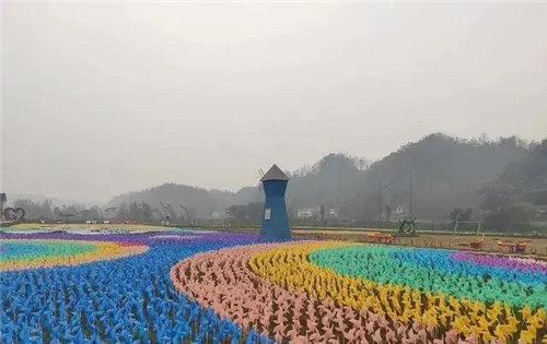 洪雅县有序推进“网红”稻香湾梦幻田园项目建设