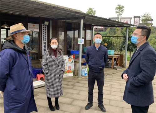 广安市领导赴武胜县开展“走基层、解难题、抓落实”活动