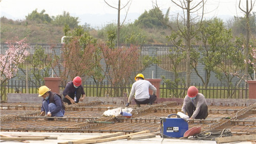 扭住项目建设“牛鼻子”