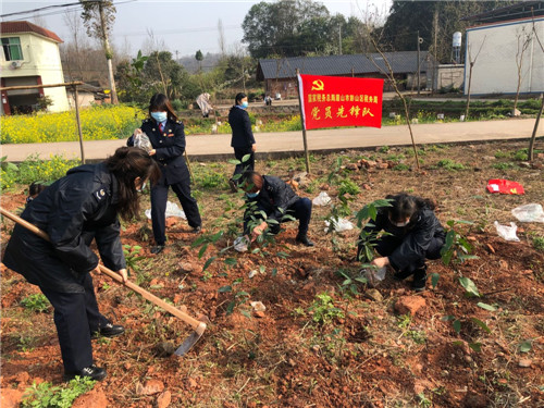 彭山区开展植树活动