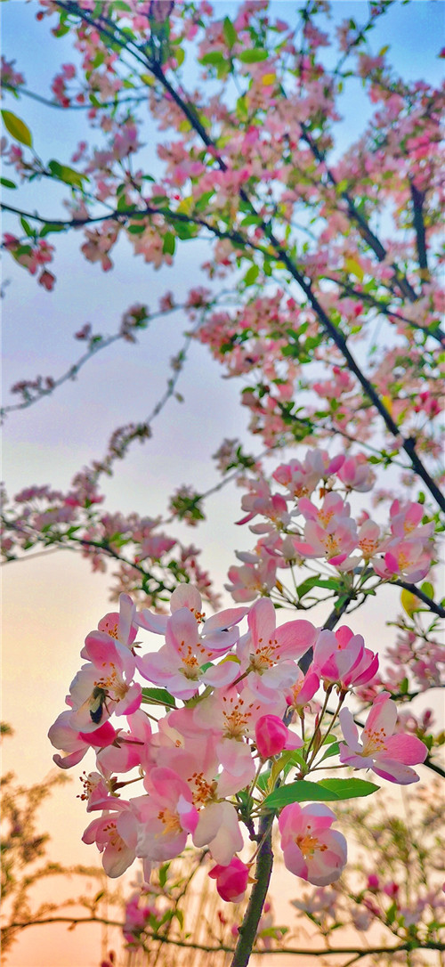 微信图片_20200313141440.jpg