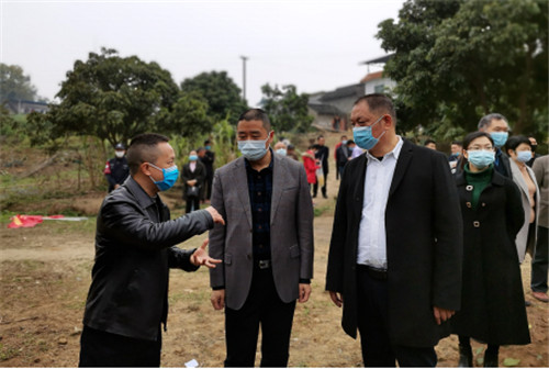 泸州市龙眼良种高换示范项目启动仪式在泸县举行 