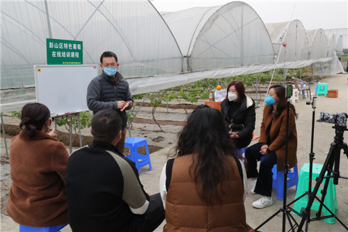 微信图片_20200316182925.jpg