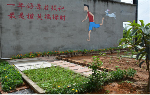 农户污水整治  建设人工湿地池.jpg