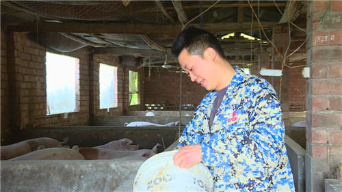 “三线并进”巩固成效