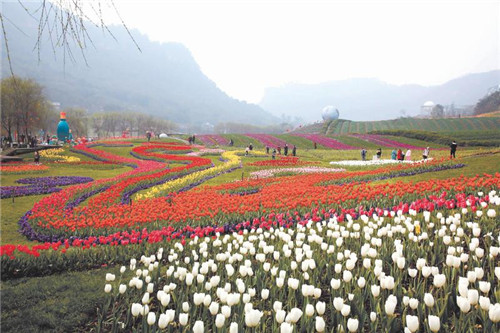踏春赏花