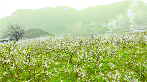 QQ图片20200320160322.jpg QQ图片20200320160322.jpg