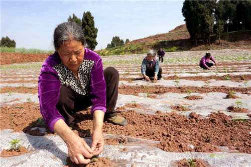 316a83f586b22c31f235d89770dff92.jpg 316a83f586b22c31f235d89770dff92.jpg