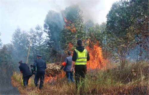 图片1.jpg 图片1.jpg