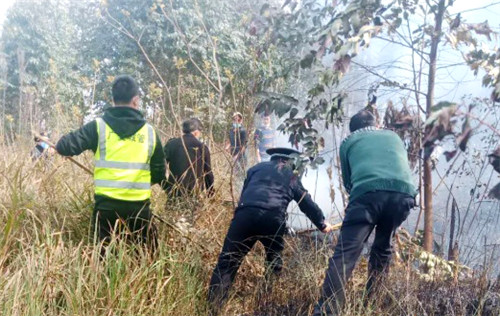 图片2.jpg 图片2.jpg