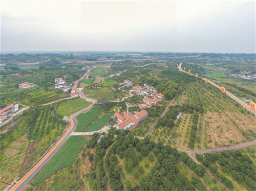 QQ图片20200323160705.jpg