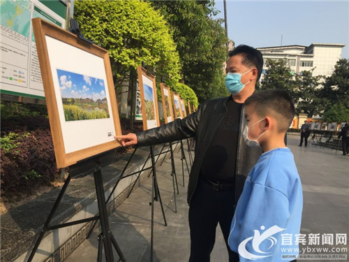 110幅作品带你看翠屏新貌