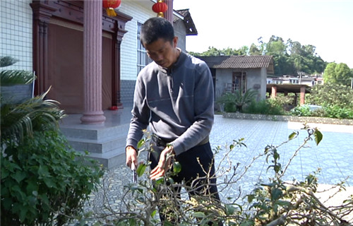 李兰芳：加入改厕队伍 助力乡村振兴