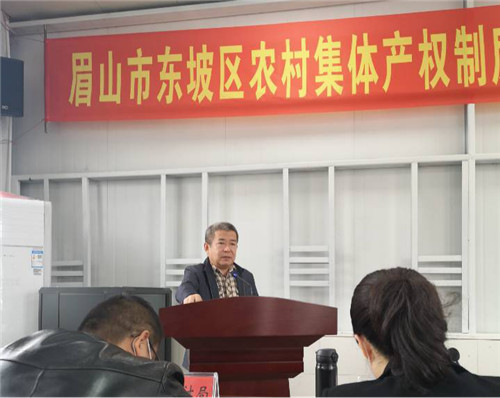 东坡区召开农村集体产权制度改革推进会