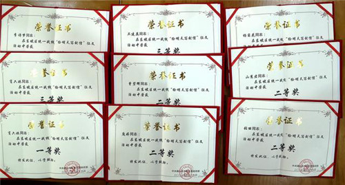 东坡区知联会在区委统战征文活动中获佳绩