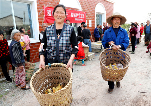 广安市广安区大安镇司马村贫困户正在将爱心企业送来的鸭苗抬回家，点亮脱贫新希望决战贫困。.jpg