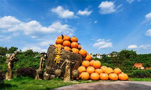 图片5.jpg