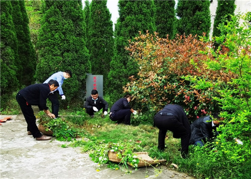 武胜县：清明节哀思祭英烈