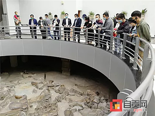自贡恐龙博物馆面向全国医护工作者免费开放