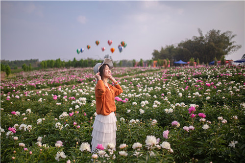 未命名-10.jpg