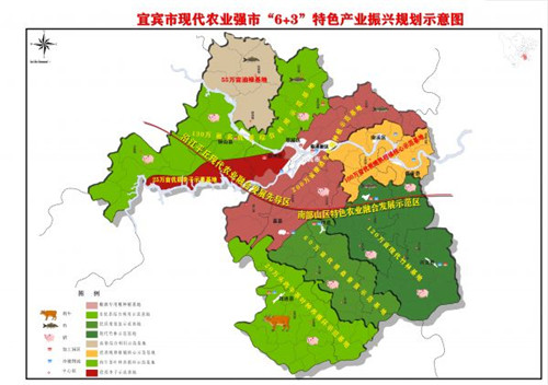 《宜宾现代农业强市“6+3”特色产业振兴规划》出炉