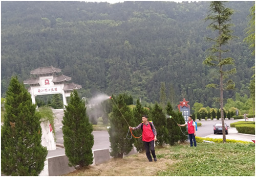 南江：志愿服务美了陵园环境