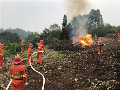 微信图片_20200417160802.jpg 微信图片_20200417160802.jpg