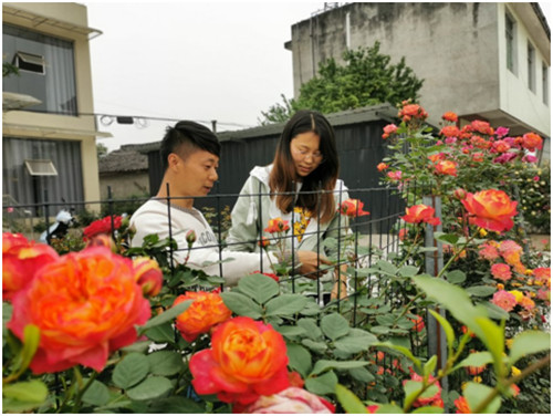 QQ图片20200420190703.jpg