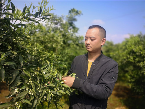 寻路筑梦 丹棱农村青年的奋斗之旅