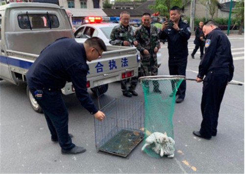 QQ图片20200427154116.jpg