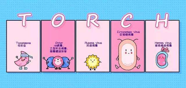 优生TORCH检查很重要