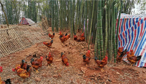 图片8.jpg