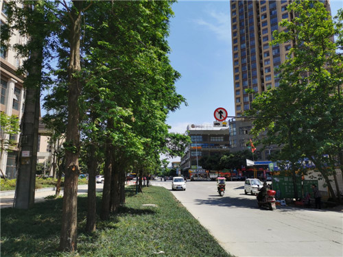 图片5.jpg
