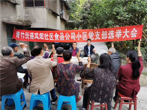 青神县：推进小区党支部选举