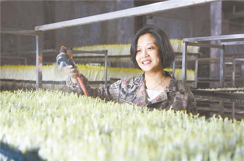 “豆芽西施”：平凡菜也能拓出大市场